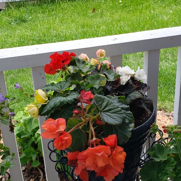 Meet your Posher, Mary - Picture 13 of 16